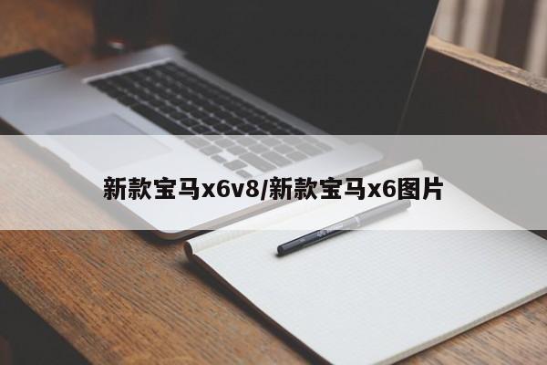 新款宝马x6v8/新款宝马x6图片