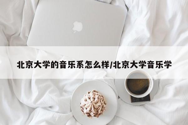 北京大学的音乐系怎么样/北京大学音乐学