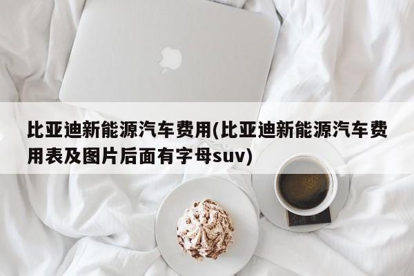 比亚迪新能源汽车费用(比亚迪新能源汽车费用表及图片后面有字母suv)