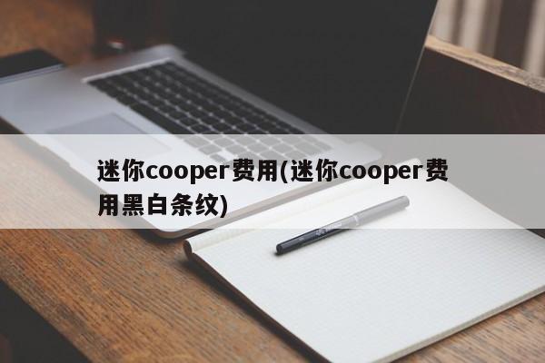 迷你cooper费用(迷你cooper费用黑白条纹)